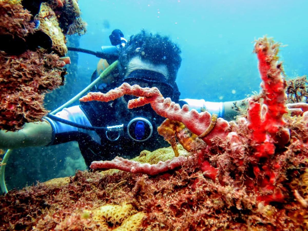 Pousada E Mergulho Dolce Vita Praia Vermelha  Dış mekan fotoğraf